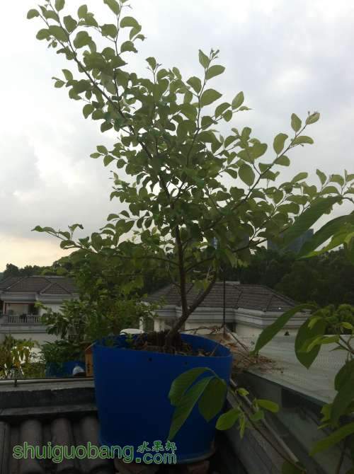 2014-07-10 080117.jpg