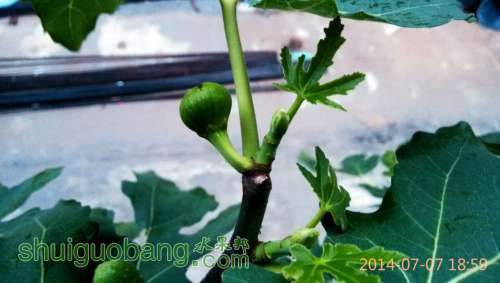 IMG_20140707_185932-1.jpg
