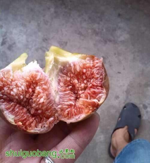 162758fs8wwswn7hs7jhyy.jpg