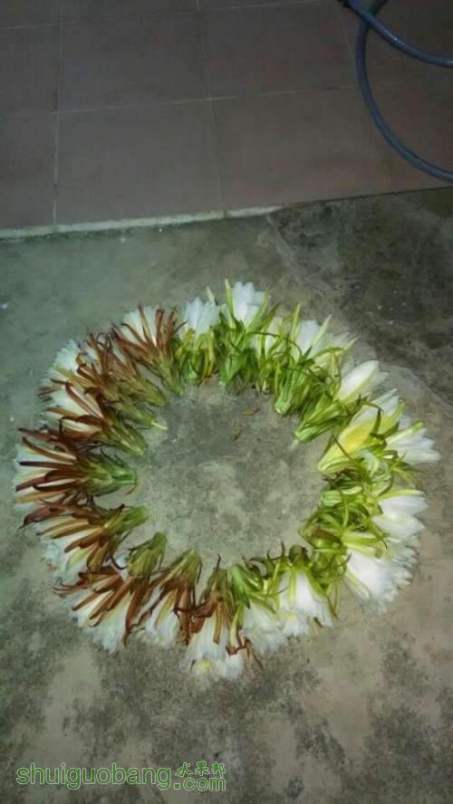 QQͼƬ20140712000530.jpg