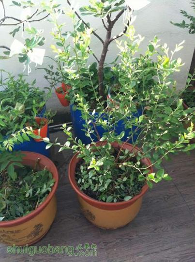 2014-07-14 065234.jpg