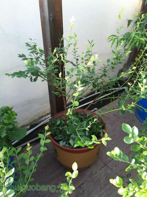 2014-07-14 065240.jpg