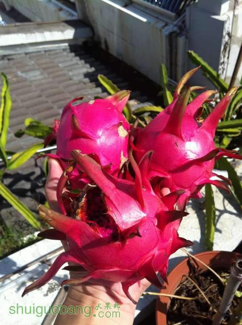 2014-07-13 090728.jpg