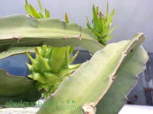 QQͼƬ20140714130145.jpg
