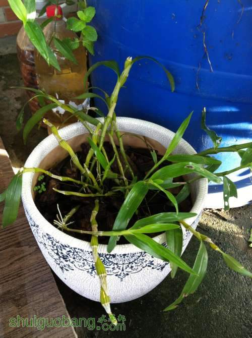 2014-07-14 065757.jpg