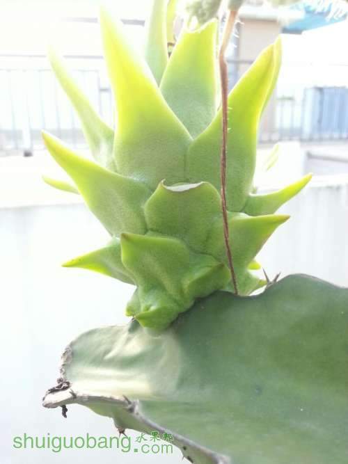 QQͼƬ20140714131737.jpg