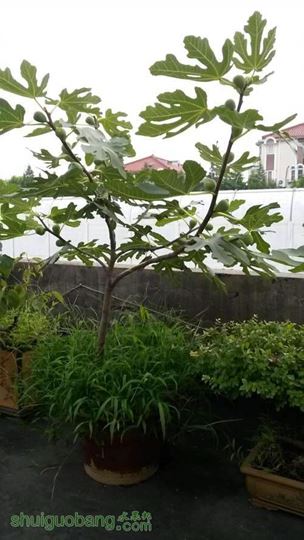 20140714_181108.jpg