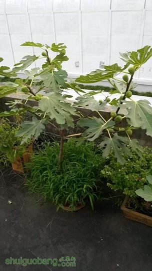 20140714_181149.jpg