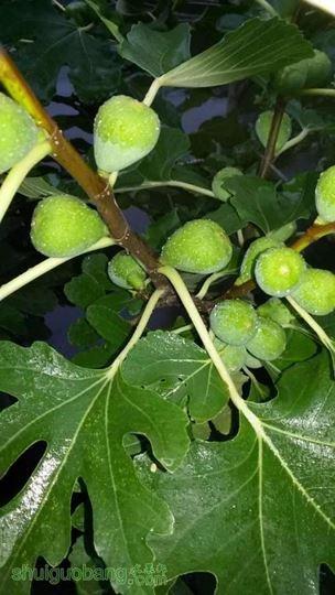 20140715_063512.jpg