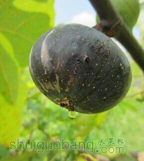QQͼƬ20140715232219.jpg