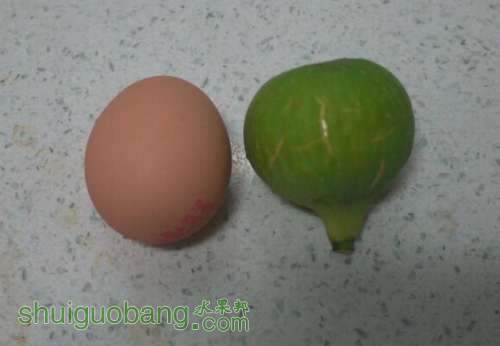 fig1.jpg