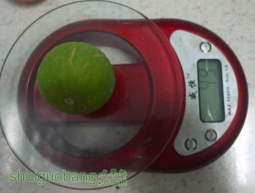 fig2.jpg