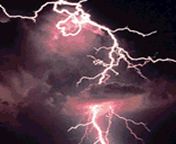 u=146036199,832810578&fm=21&gp=0.jpg