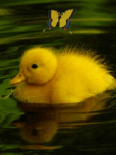 u=3577217099,422794716&fm=21&gp=0.jpg