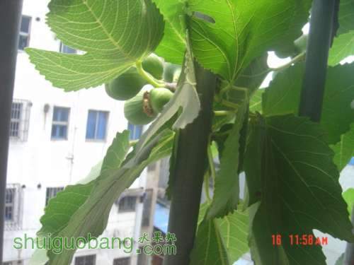 DSC06860.JPG