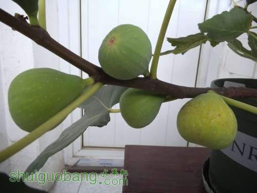 DSCF2273.JPG