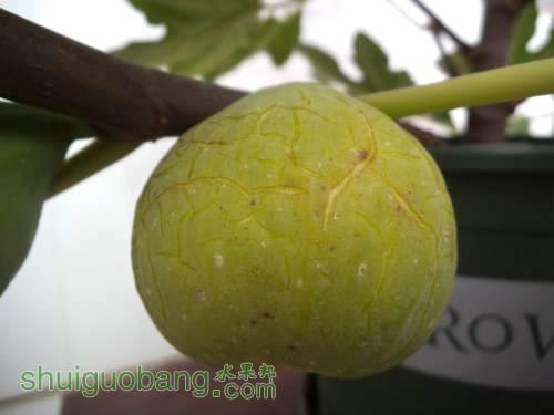 DSCF2278.JPG