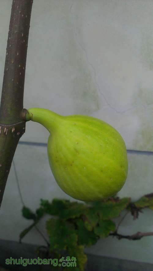 IMAG1089.jpg
