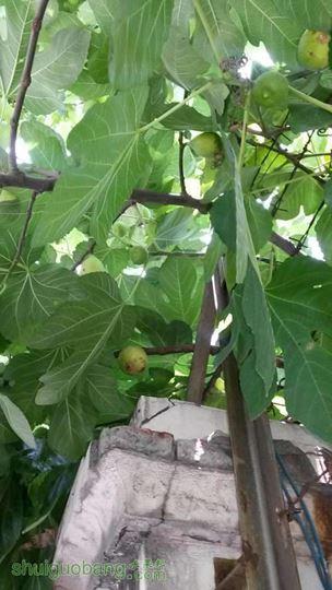 20140708_120340.jpg