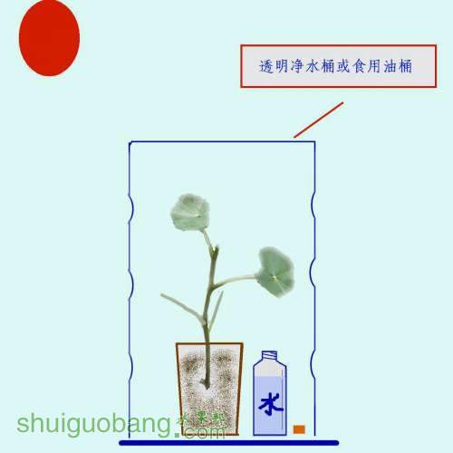 qc2.jpg