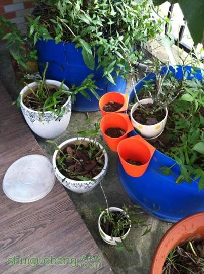 2014-07-17 071743.jpg