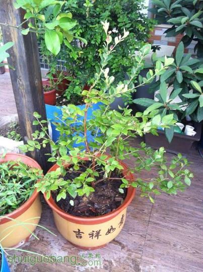 2014-07-17 071716.jpg