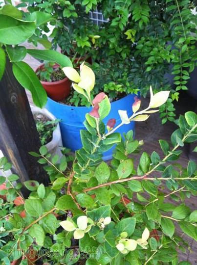 2014-07-17 071721.jpg