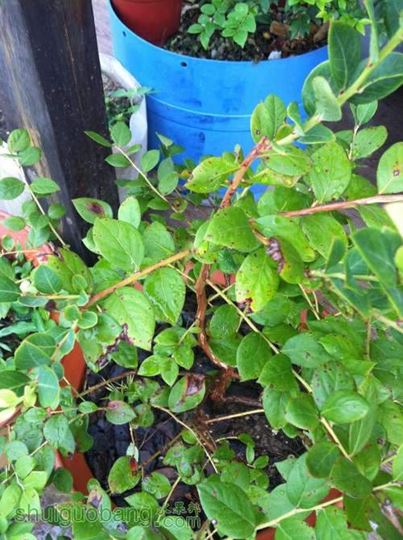 2014-07-17 071725.jpg