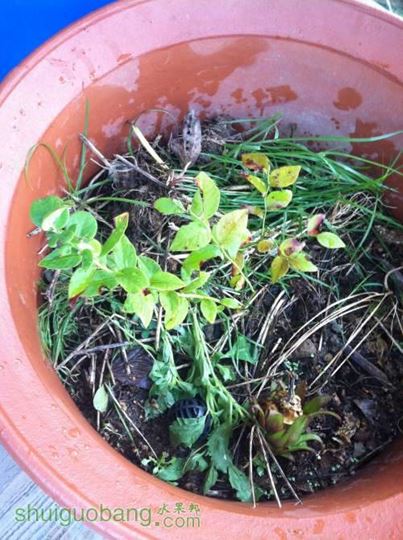 2014-07-17 071732.jpg