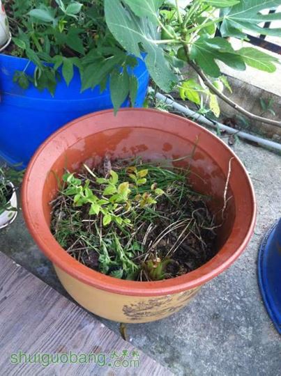 2014-07-17 071735.jpg