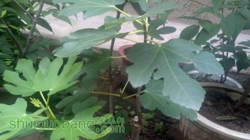 IMG_20140717_164746.jpg