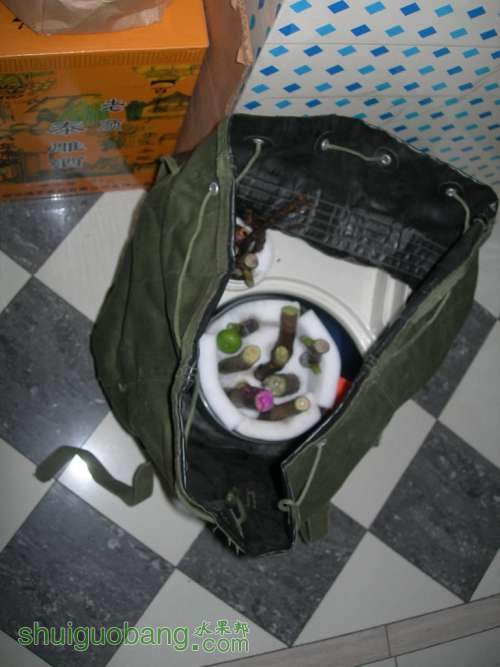 DSCN4232.JPG