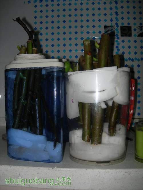 DSCN4230.JPG