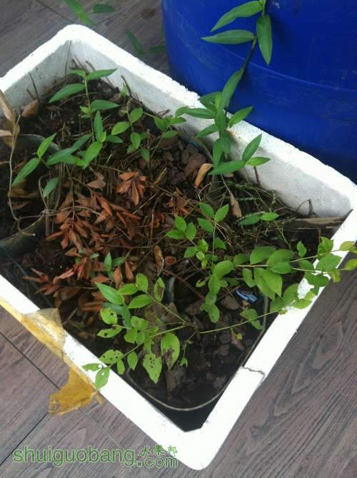 2014-07-18 080025.jpg