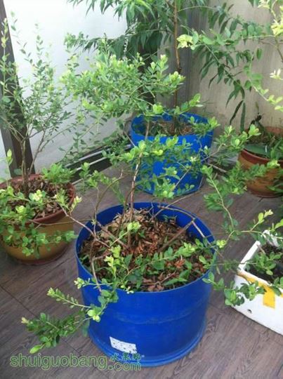 2014-07-18 080033.jpg