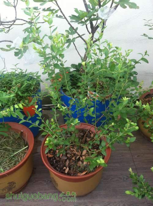 2014-07-18 080036.jpg