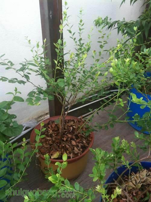 2014-07-18 080039.jpg