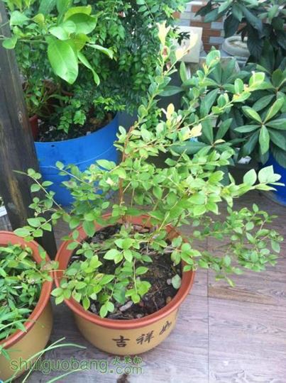 2014-07-18 080046.jpg