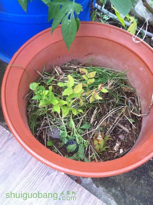 2014-07-18 080051.jpg