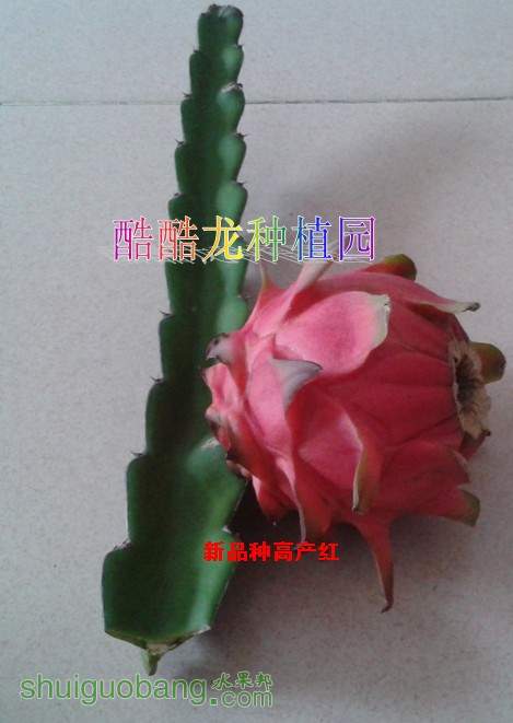 003.jpg