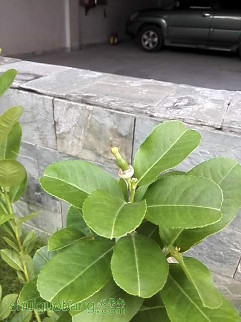 IMG_20140720_085107.jpg