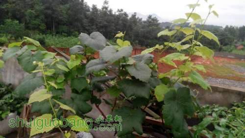 201407151414.jpg