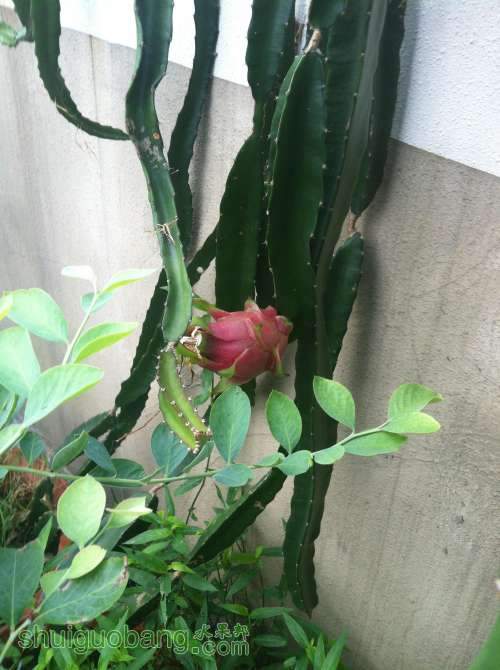 2014-07-21 072116.jpg