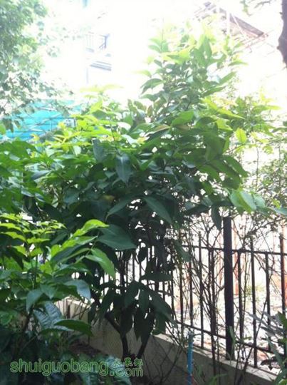 2014-07-21 073444.jpg