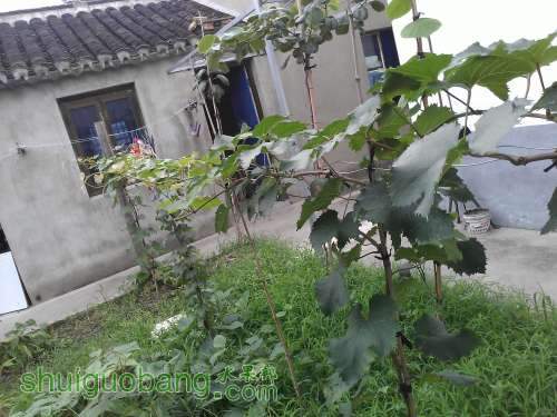 WP_002557.jpg