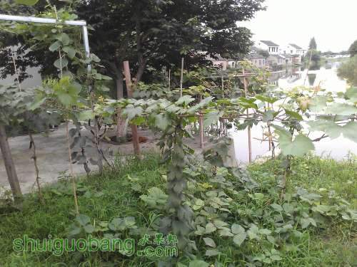 WP_002566.jpg