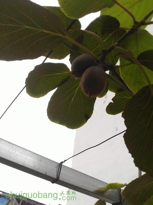WP_002558.jpg