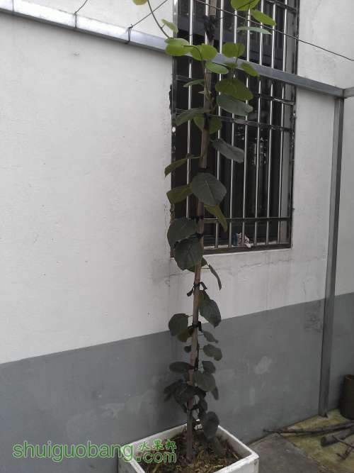 WP_002559.jpg
