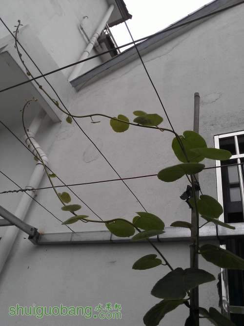 WP_002560.jpg