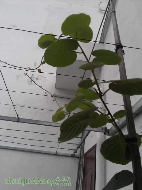 WP_002561.jpg